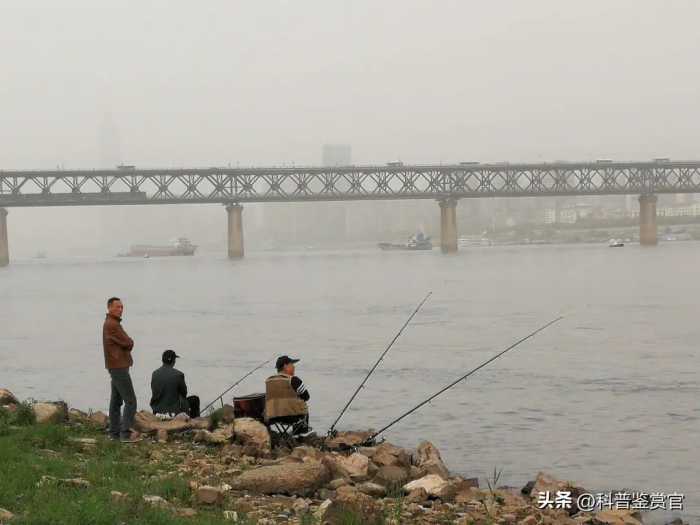 为什么长江禁渔十年，却不禁止个人钓鱼？原来其中暗藏玄机